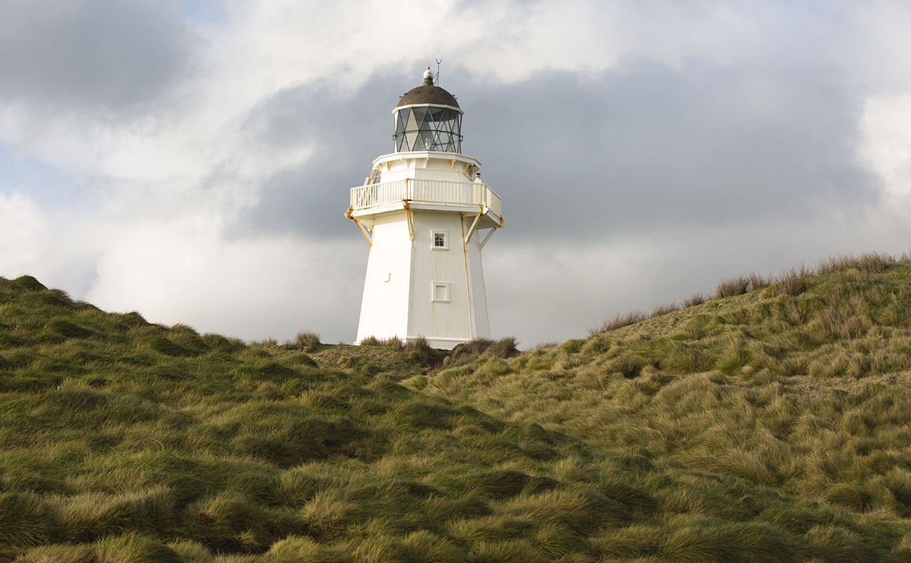 Have You Considered Self-Driving New Zealand’s Southern Scenic Route?