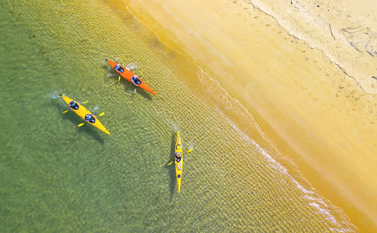 Walk and Kayak: Explore Abel Tasman National Park like a Local