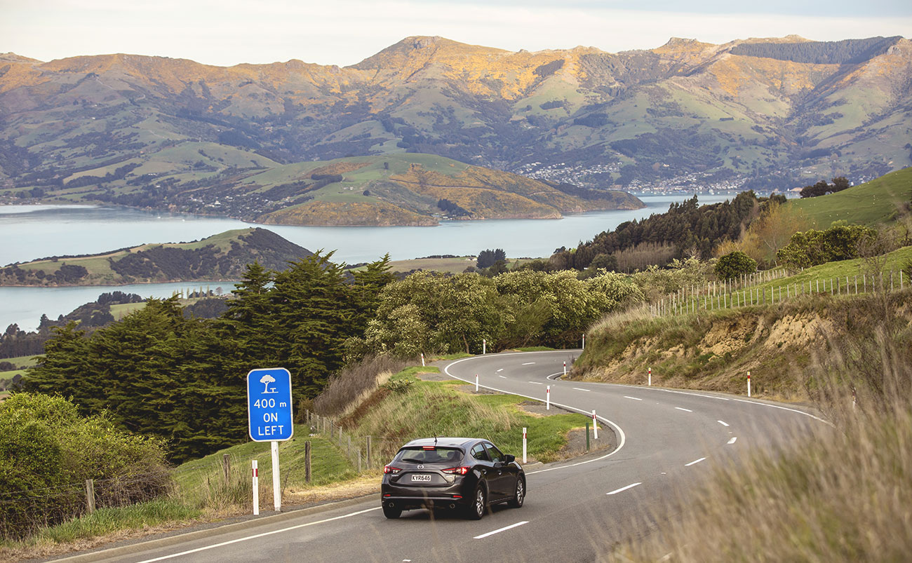 Self-Driving: Our 3 Essential Free South Island Must See’s