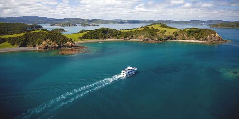 cruises ship moving away in Bay of Islands