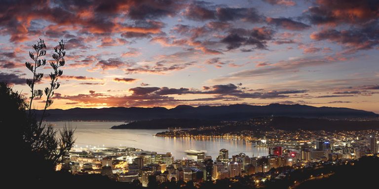 Wellington city panorama just after sunset